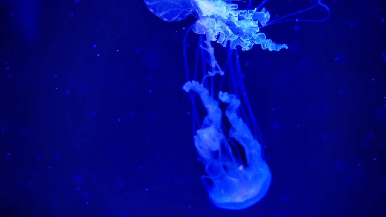 Image from post of 2024/01/02 21:26
