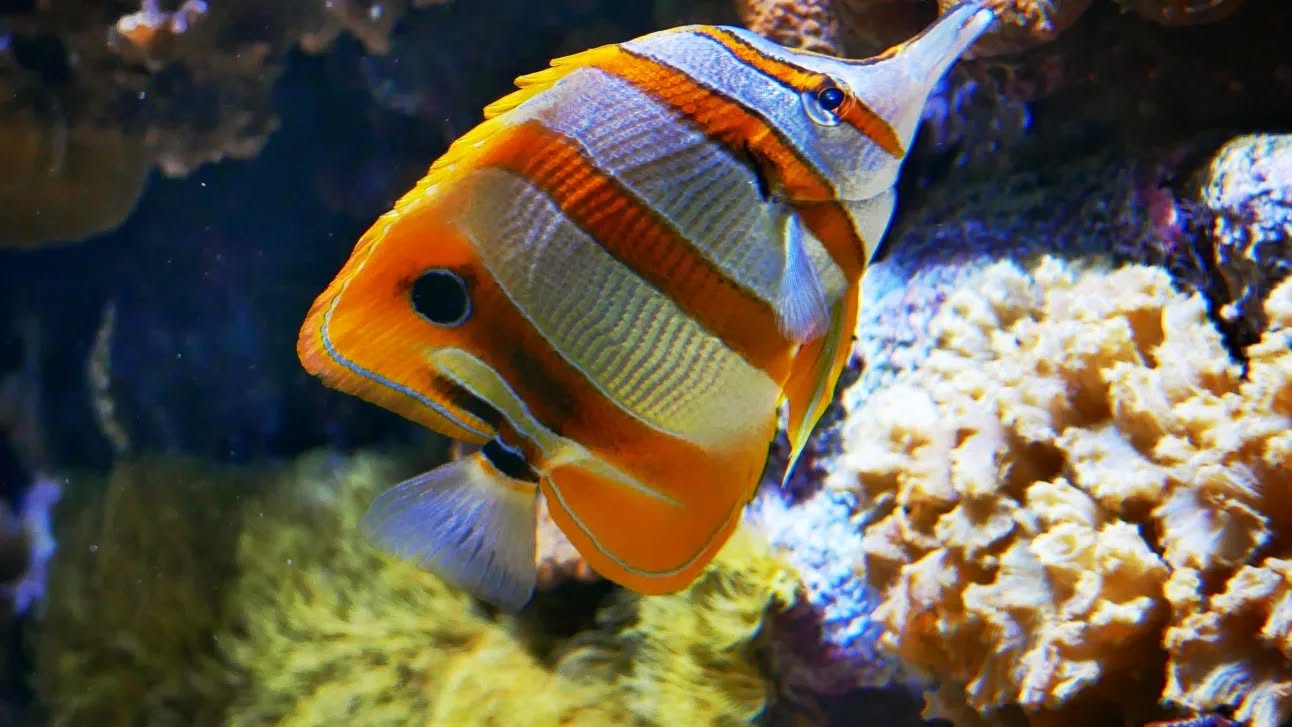 Image from post of 2024/01/02 21:26