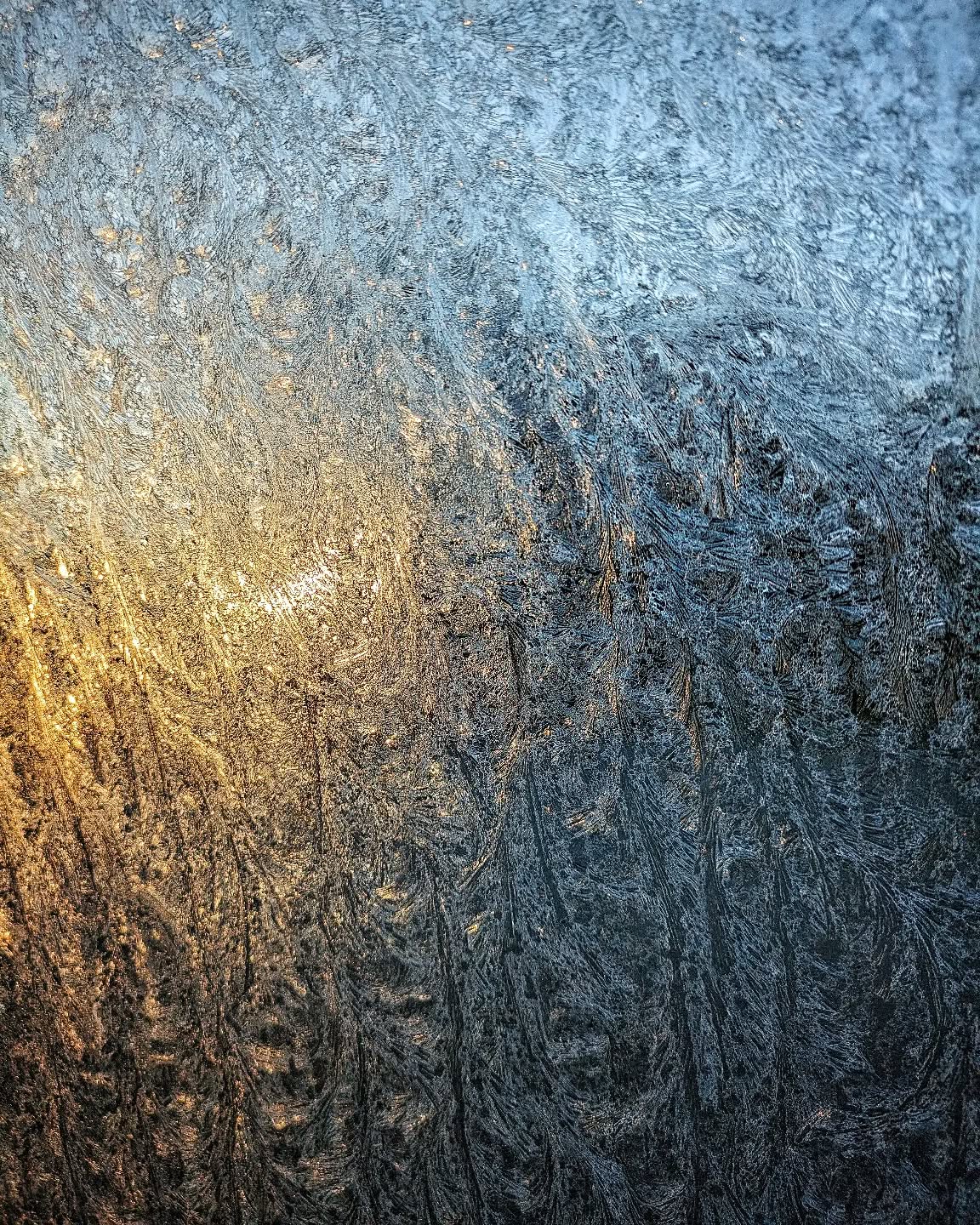Image from post of 2023/12/16 09:33