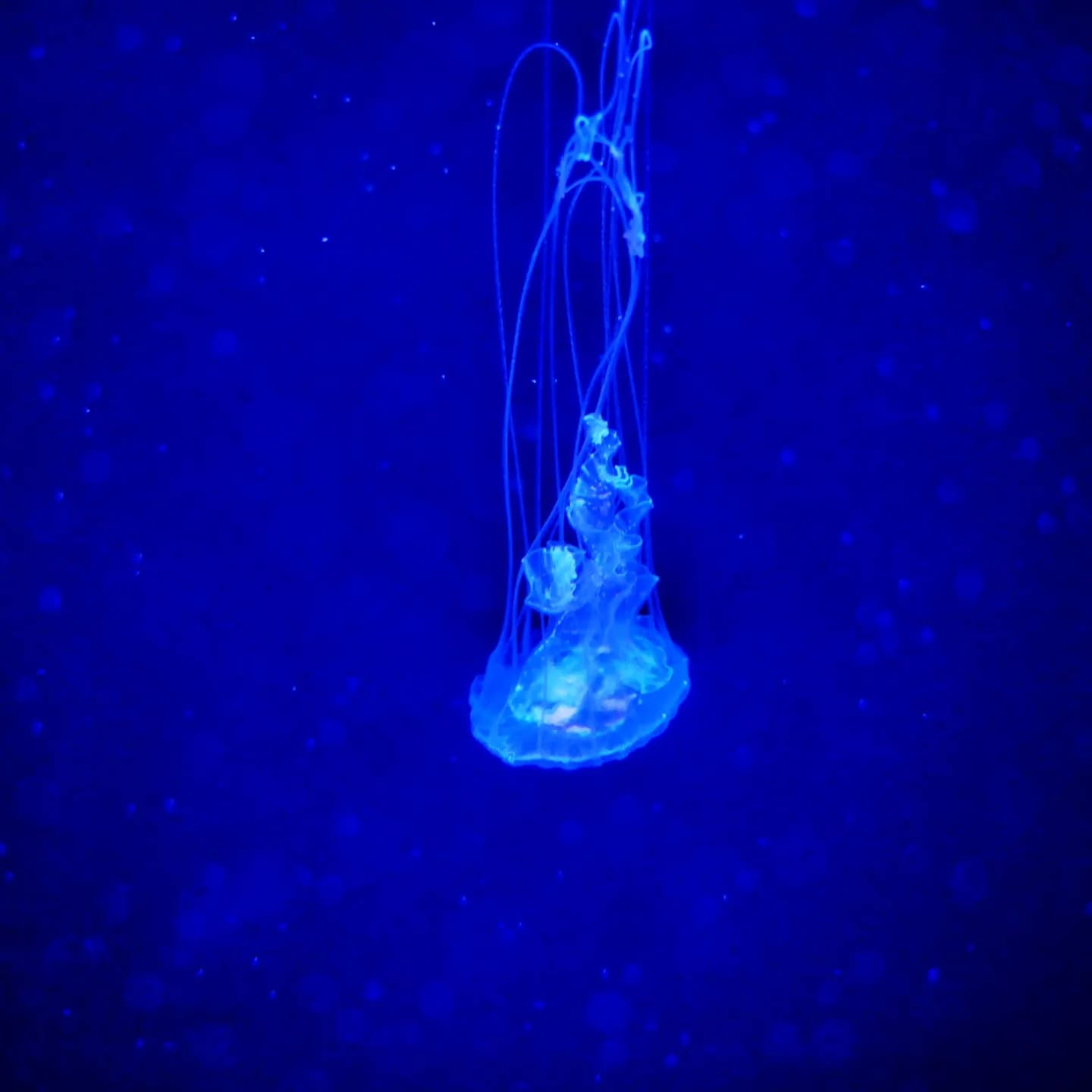 Image from post of 2024/01/02 21:32
