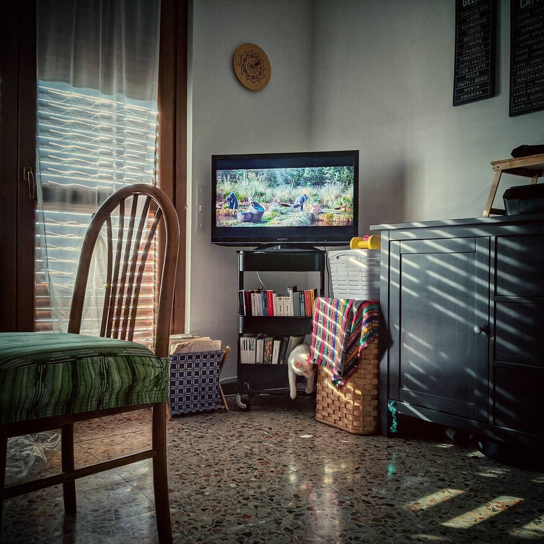Image from post of 2019/12/01 23:36